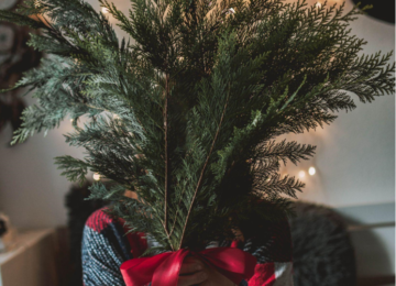 How a Skinny Christmas Tree Can Save You Space and Money