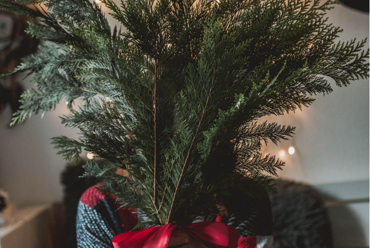 How a Skinny Christmas Tree Can Save You Space and Money