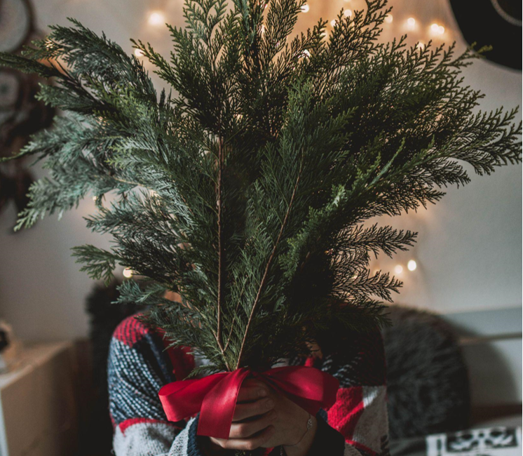 How a Skinny Christmas Tree Can Save You Space and Money