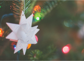 Your Christmas Barn Wedding in Fort Myers' Fruit Forest