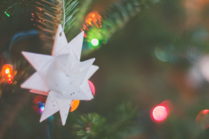 Your Christmas Barn Wedding in Fort Myers' Fruit Forest