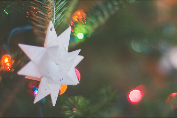 Your Christmas Barn Wedding in Fort Myers' Fruit Forest